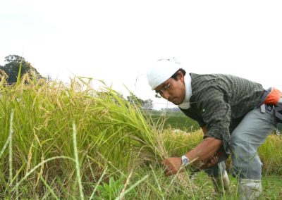 Marumoto Shuzo