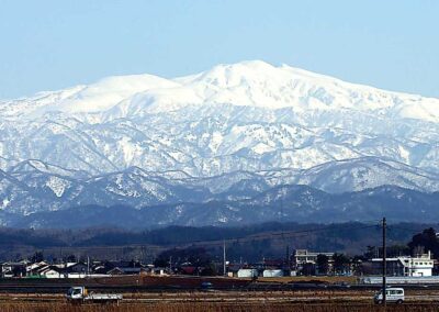 Higashi Sake Brewing Company